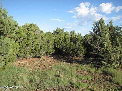 Photo of Sec 29 T14N, R17E: Parcel 6, Heber, AZ 85928 (MLS # 258955)