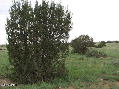 Tiny photo for Sec 29 T14N, R17E: Parcel 6, Heber, AZ 85928 (MLS # 258955)