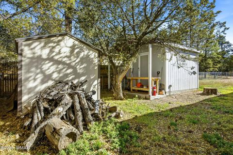 Tiny photo for 2056 Shot Gun Road, Overgaard, AZ 85933 (MLS # 258684)