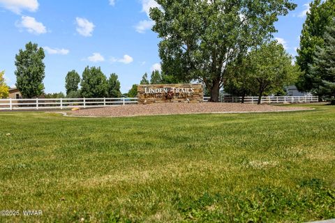 Photo of 1182 Outlaw Pass Pass, Show Low, AZ 85901 (MLS # 257271)