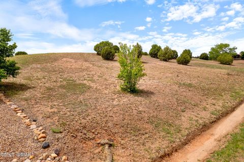 Tiny photo for 1182 Outlaw Pass Pass, Show Low, AZ 85901 (MLS # 257271)