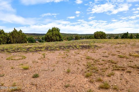 Tiny photo for 1182 Outlaw Pass Pass, Show Low, AZ 85901 (MLS # 257271)