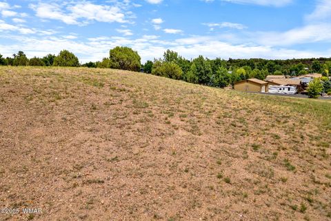 Tiny photo for 1182 Outlaw Pass Pass, Show Low, AZ 85901 (MLS # 257271)