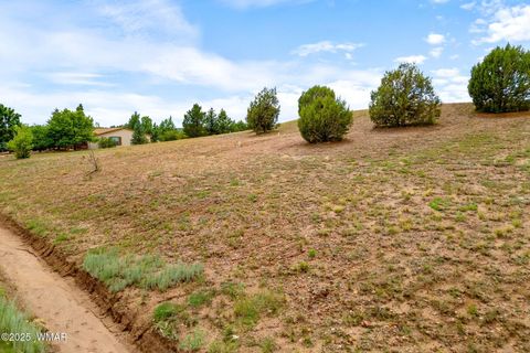 Tiny photo for 1182 Outlaw Pass Pass, Show Low, AZ 85901 (MLS # 257271)