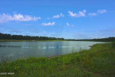 Tiny photo for 400 N Madron Lane, Show Low, AZ 85901 (MLS # 259036)