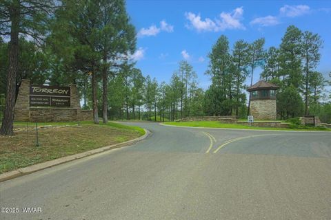 Tiny photo for 400 N Madron Lane, Show Low, AZ 85901 (MLS # 259036)