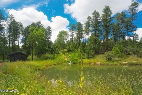 Tiny photo for 400 N Madron Lane, Show Low, AZ 85901 (MLS # 259036)