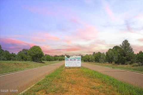 Tiny photo for 400 N Madron Lane, Show Low, AZ 85901 (MLS # 259036)