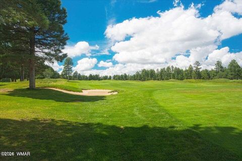 Tiny photo for 400 N Madron Lane, Show Low, AZ 85901 (MLS # 259036)