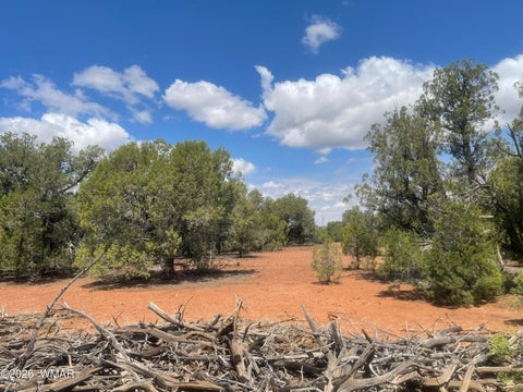 Tiny photo for 4934 Elk Trail Road, Clay Springs, AZ 85923 (MLS # 262310)