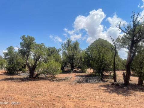 Tiny photo for 4934 Elk Trail Road, Clay Springs, AZ 85923 (MLS # 262310)