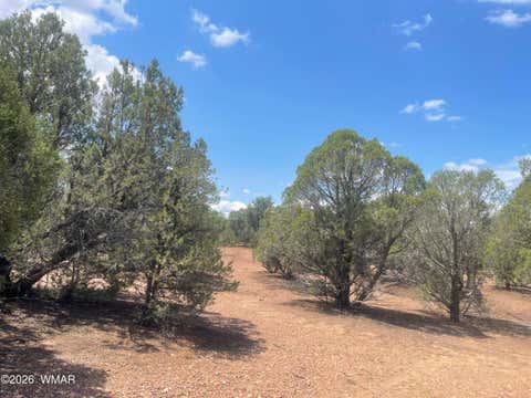 Tiny photo for 4934 Elk Trail Road, Clay Springs, AZ 85923 (MLS # 262310)