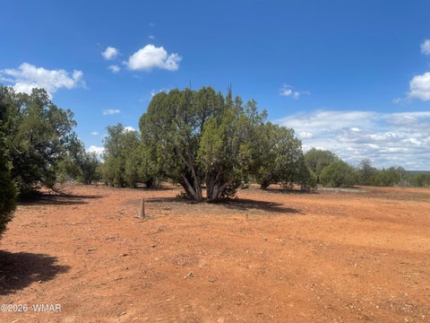Tiny photo for 4934 Elk Trail Road, Clay Springs, AZ 85923 (MLS # 262310)