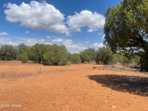 Tiny photo for 4934 Elk Trail Road, Clay Springs, AZ 85923 (MLS # 262310)