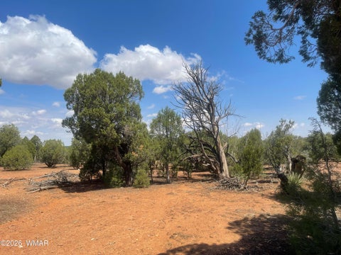 Tiny photo for 4934 Elk Trail Road, Clay Springs, AZ 85923 (MLS # 262310)