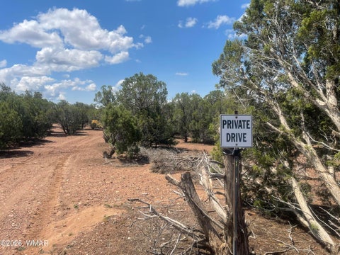 Photo of 4934 Elk Trail Road, Clay Springs, AZ 85923 (MLS # 262310)