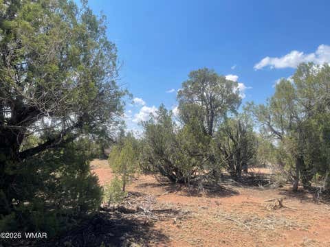 Tiny photo for 4934 Elk Trail Road, Clay Springs, AZ 85923 (MLS # 262310)
