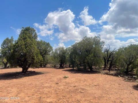Tiny photo for 4934 Elk Trail Road, Clay Springs, AZ 85923 (MLS # 262310)