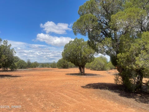 Tiny photo for 4934 Elk Trail Road, Clay Springs, AZ 85923 (MLS # 262310)