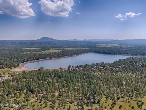 Tiny photo for 5970 E Elk Springs Spgs, Lakeside, AZ 85929 (MLS # 259854)