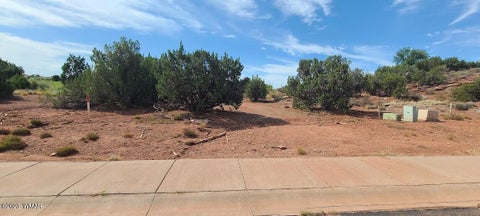 Tiny photo for 1881 W Sandtrap Lane, Snowflake, AZ 85937 (MLS # 262162)
