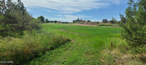 Tiny photo for 1881 W Sandtrap Lane, Snowflake, AZ 85937 (MLS # 262162)