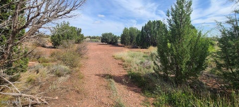 Tiny photo for 1881 W Sandtrap Lane, Snowflake, AZ 85937 (MLS # 262162)