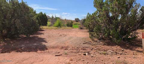 Photo of 1881 W Sandtrap Lane, Snowflake, AZ 85937 (MLS # 262162)