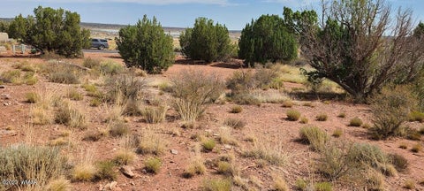 Tiny photo for 1881 W Sandtrap Lane, Snowflake, AZ 85937 (MLS # 262162)