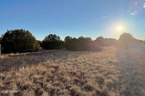 Tiny photo for 1926 Silver Lake Boulevard, Show Low, AZ 85901 (MLS # 258256)