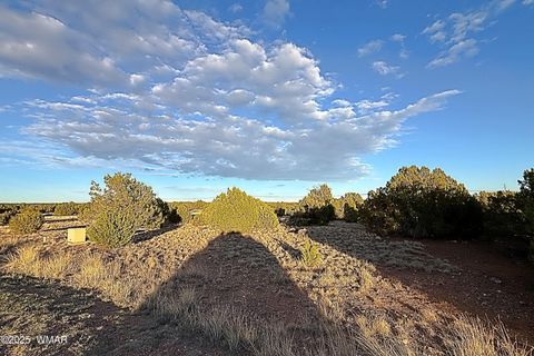 Tiny photo for 1926 Silver Lake Boulevard, Show Low, AZ 85901 (MLS # 258256)