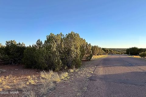 Tiny photo for 1926 Silver Lake Boulevard, Show Low, AZ 85901 (MLS # 258256)