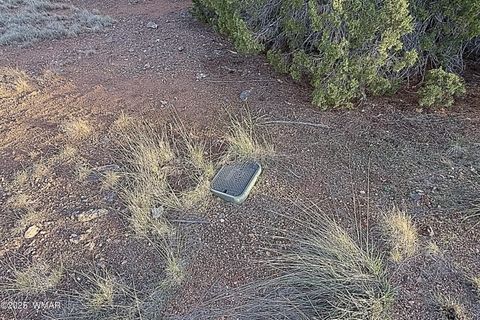 Tiny photo for 1926 Silver Lake Boulevard, Show Low, AZ 85901 (MLS # 258256)