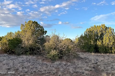 Tiny photo for 1926 Silver Lake Boulevard, Show Low, AZ 85901 (MLS # 258256)