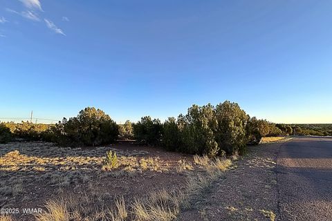 Tiny photo for 1926 Silver Lake Boulevard, Show Low, AZ 85901 (MLS # 258256)