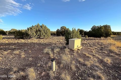 Tiny photo for 1926 Silver Lake Boulevard, Show Low, AZ 85901 (MLS # 258256)