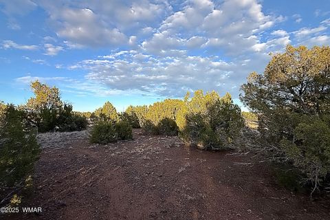 Tiny photo for 1926 Silver Lake Boulevard, Show Low, AZ 85901 (MLS # 258256)