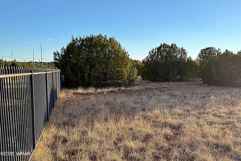 Tiny photo for 1926 Silver Lake Boulevard, Show Low, AZ 85901 (MLS # 258256)