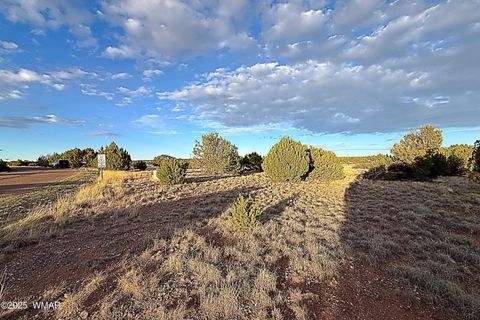 Tiny photo for 1926 Silver Lake Boulevard, Show Low, AZ 85901 (MLS # 258256)