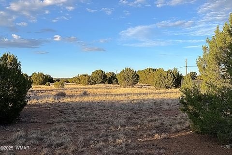 Tiny photo for 1926 Silver Lake Boulevard, Show Low, AZ 85901 (MLS # 258256)