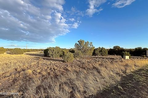 Photo of 1926 Silver Lake Boulevard, Show Low, AZ 85901 (MLS # 258256)