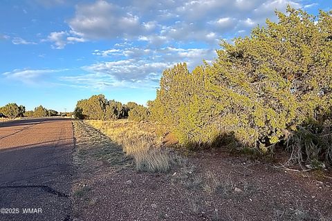 Tiny photo for 1926 Silver Lake Boulevard, Show Low, AZ 85901 (MLS # 258256)