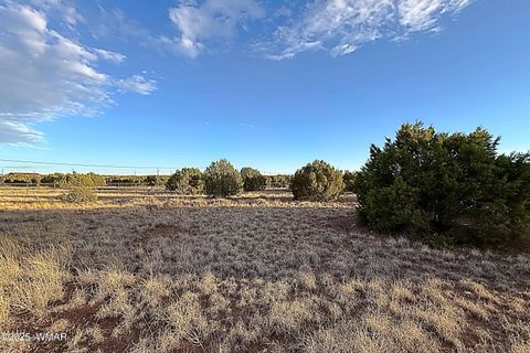 Tiny photo for 1926 Silver Lake Boulevard, Show Low, AZ 85901 (MLS # 258256)