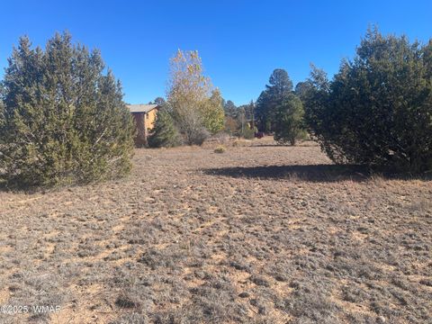 Photo of 2287 Meadow Lane, Overgaard, AZ 85933 (MLS # 258551)