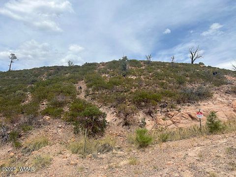 Tiny photo for 6374 Old Forest Trail, Show Low, AZ 85901 (MLS # 257773)