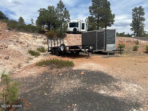 Tiny photo for 6374 Old Forest Trail, Show Low, AZ 85901 (MLS # 257773)