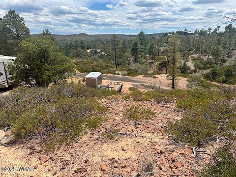 Tiny photo for 6374 Old Forest Trail, Show Low, AZ 85901 (MLS # 257773)