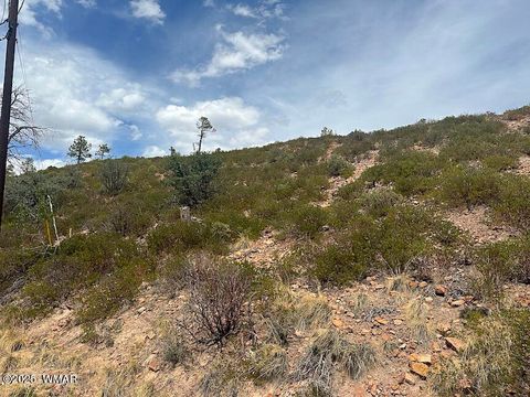 Tiny photo for 6374 Old Forest Trail, Show Low, AZ 85901 (MLS # 257773)