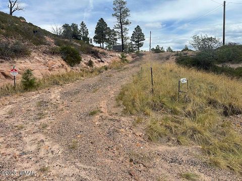 Photo of 6374 Old Forest Trail, Show Low, AZ 85901 (MLS # 257773)