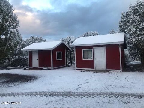 Tiny photo for 1011 Dusty Lane, Show Low, AZ 85901 (MLS # 249344)
